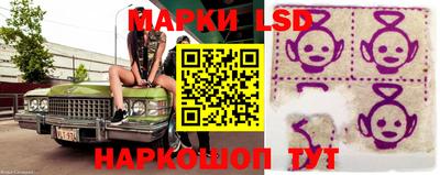 сатива Новокубанск