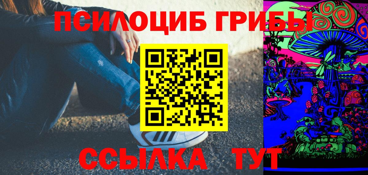 Псилоцибиновые грибы Psilocybine cubensis Химки