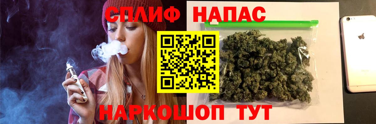 Канабис сатива Химки